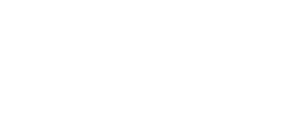 TrueNorth Insurance and Financial Strategies